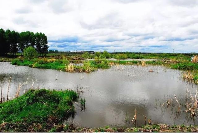 舅老爷和舅姥爷的区别（我的家在东北<十一>）