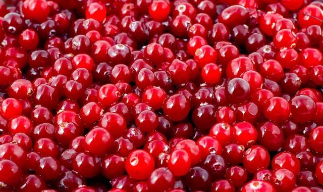 红莓干果的功效与作用，红莓干果的功效与作用禁忌（这种水果是万圣节的传统食物）