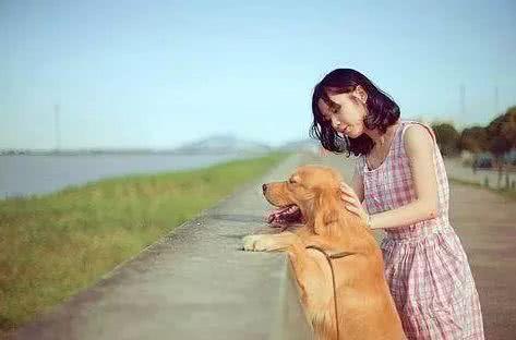 女生适合养的护卫犬，家庭护卫犬（这“7种狗狗”值得一养）