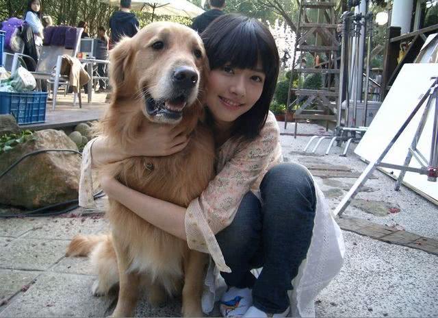 女生适合养的护卫犬，家庭护卫犬（这“7种狗狗”值得一养）