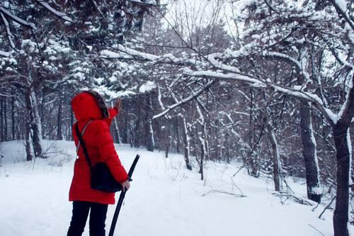流水账作文范本，两篇“流水账”，让我泪千行