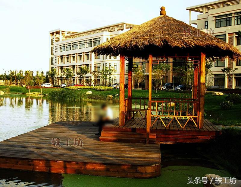 上海海关学院是几本(中国最好的海关大学排名)