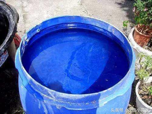 波尔多液的配制，波尔多液的配制方法（波尔多液和石硫合剂不用花钱买）