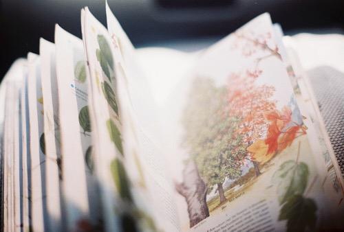 改变从现在开始，最好的改变就是从现在开始（致自己的20句话：改变）