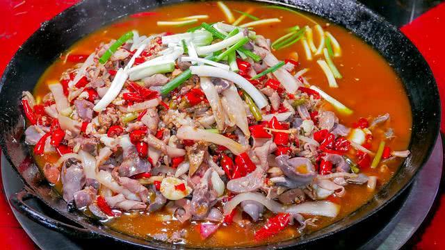 亚洲白虎(走进重庆黔江) - 赤虎壹号