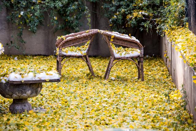 后来歌词完整版，后来歌词完整版歌词（音乐鉴赏之刘若英《后来》）