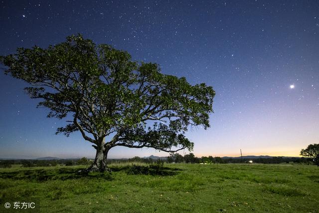后来歌词完整版，后来歌词完整版歌词（音乐鉴赏之刘若英《后来》）