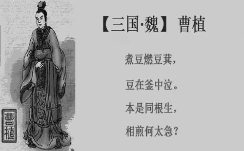 反七步诗全诗的意思，写下一首《反七步诗》