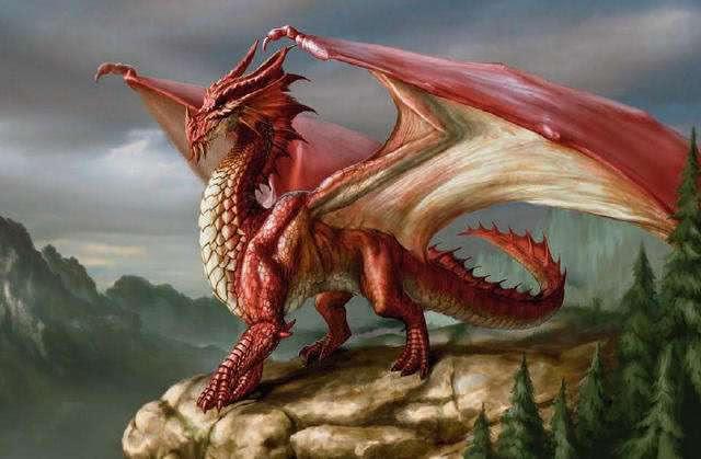 西方龙vs东方龙，东方龙和西方龙的区别（东方龙为何轻易碾压西方龙）