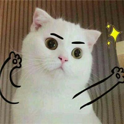 qq搞笑头像2018最新版精选