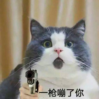qq搞笑头像2018最新版精选