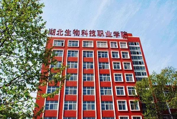 2021年湖北经济学院法商学院最好的专业排名及重点特色专业目录，湖北经济学院法商学院前景（武汉84所高校资料大全）