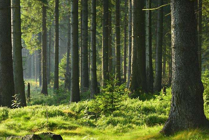 做梦梦见着火，做梦梦见起火好不好（周公解梦：梦到这几种场景）