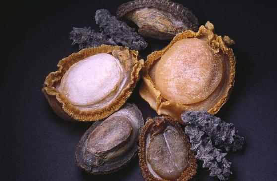 鲍鱼的功效与作用，鲍鱼的功效与作用及禁忌（对身体有哪些益处呢）