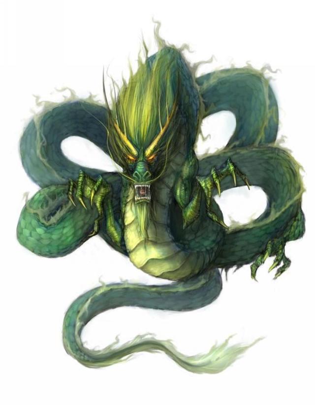 土龙是什么,土龙是一种什么鱼(常见的西方龙的种类简介图楼)