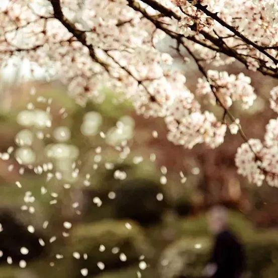 明月天涯歌词，明月天涯歌词赏析（人生何处不相逢—曹继梅唱和诗小辑）