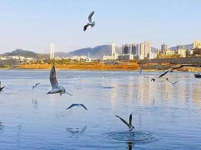 明月天涯歌词，明月天涯歌词赏析（人生何处不相逢—曹继梅唱和诗小辑）