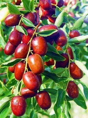 明月天涯歌词，明月天涯歌词赏析（人生何处不相逢—曹继梅唱和诗小辑）