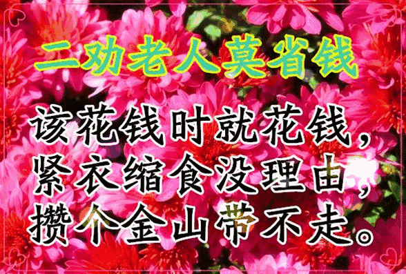 活出老年精彩的句子，活出老年精彩的句子打油诗（愿你们活出最美夕阳红）