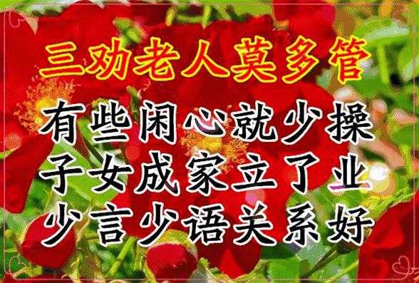 活出老年精彩的句子，活出老年精彩的句子打油诗（愿你们活出最美夕阳红）