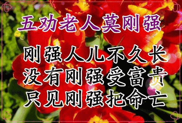 活出老年精彩的句子，活出老年精彩的句子打油诗（愿你们活出最美夕阳红）