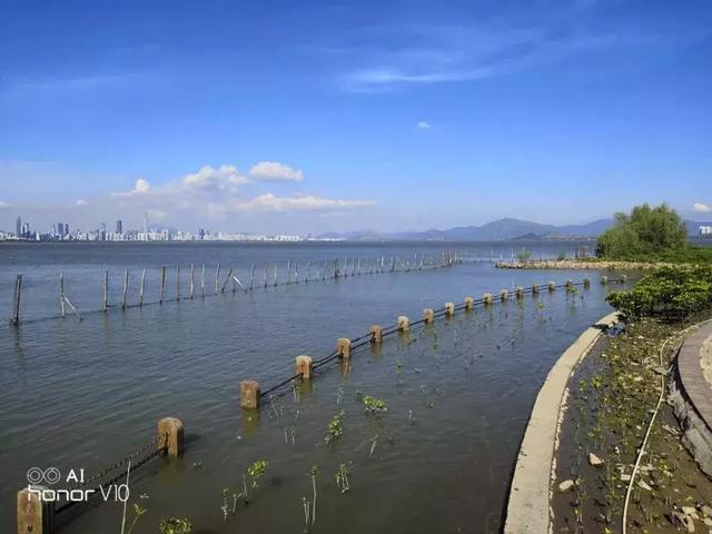 荣耀v10与荣耀10区别,荣耀10和荣耀v10有什么区别(荣耀10和荣耀V10哪个更值得买) 荣耀v10与荣耀10区别,荣耀10和荣耀v10有什么区别(荣耀10和荣耀V10哪个更值得买)