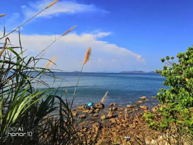 荣耀v10与荣耀10区别,荣耀10和荣耀v10有什么区别(荣耀10和荣耀V10哪个更值得买) 荣耀v10与荣耀10区别,荣耀10和荣耀v10有什么区别(荣耀10和荣耀V10哪个更值得买)