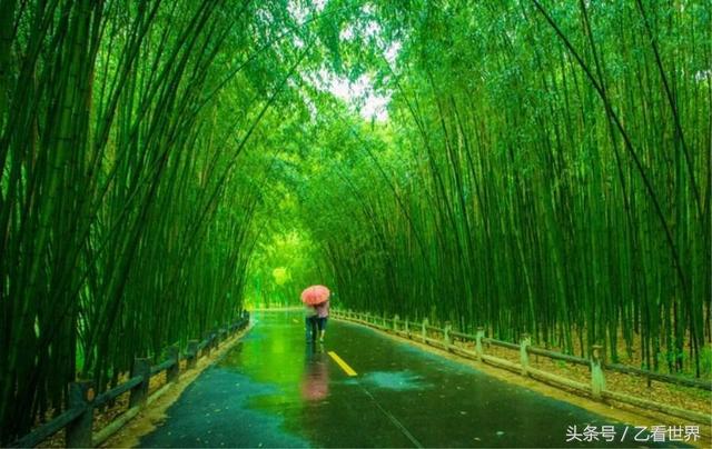  栾川旅游景点排名，洛阳 栾川旅游景点排名前十