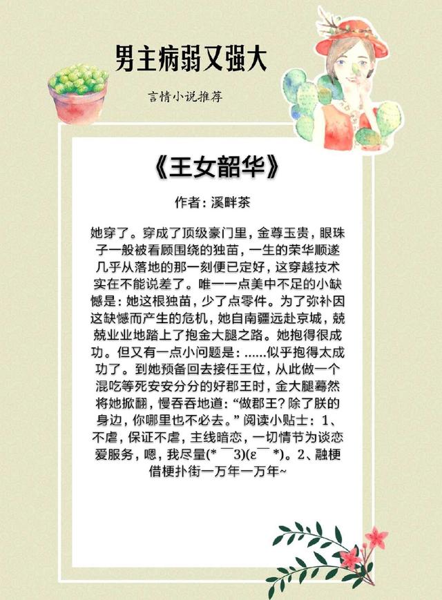 月斜碧纱窗品质介绍，《月斜碧纱窗》（男主病弱却又很强大的小说）