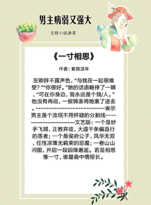 月斜碧纱窗品质介绍，《月斜碧纱窗》（男主病弱却又很强大的小说）