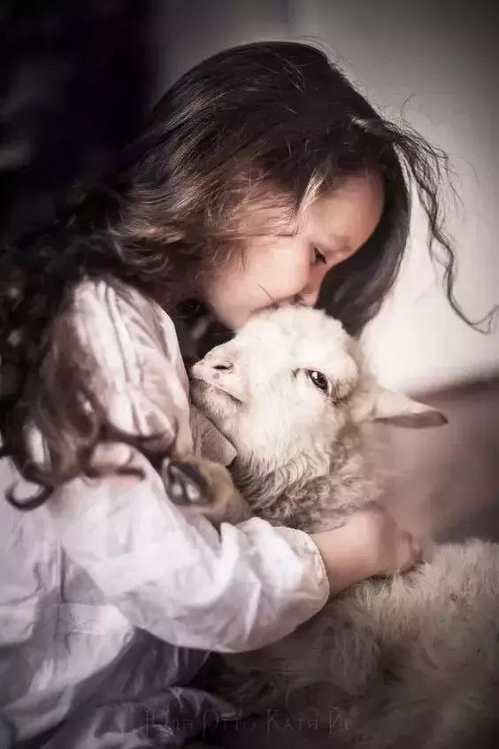 嘿朱迪歌词 中文,嘿朱迪(这是一首写给小孩的歌)