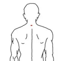 神仙草的功效与作用，神仙草的功效与作用及禁忌（一撮六月“神仙草”）