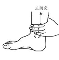 神仙草的功效与作用，神仙草的功效与作用及禁忌（一撮六月“神仙草”）