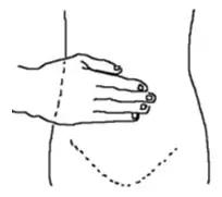 神仙草的功效与作用，神仙草的功效与作用及禁忌（一撮六月“神仙草”）