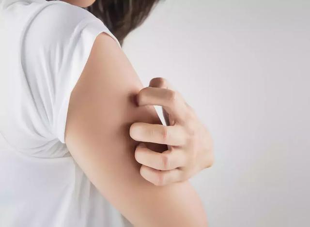 神仙草的功效与作用，神仙草的功效与作用及禁忌（一撮六月“神仙草”）