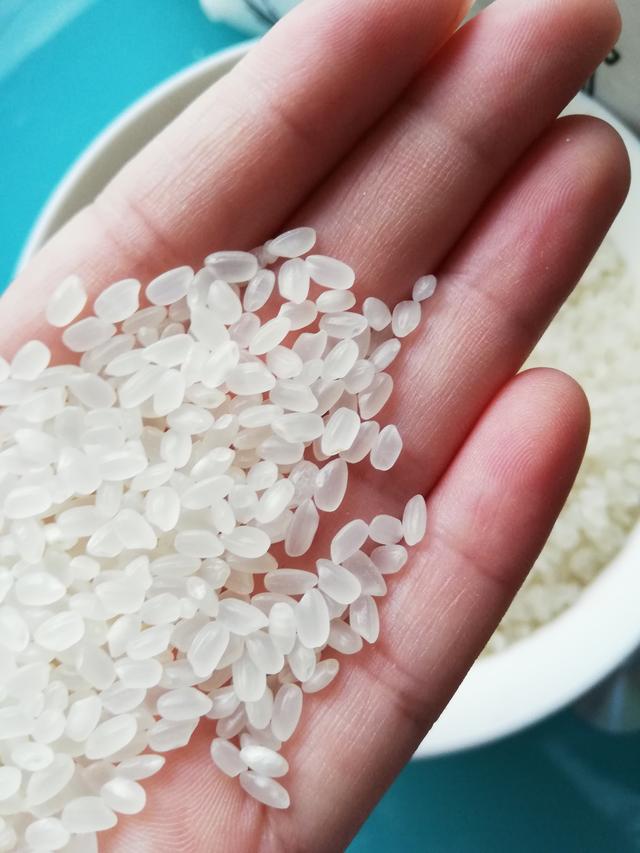 小町米和普通米的区别是什么，<小町米的前世今生>