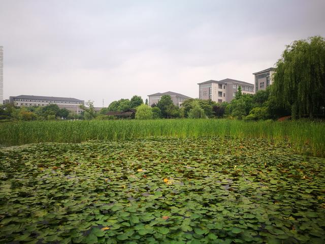 无锡城市职业技术学校,2022无锡城市职业技术学院在重庆录取分数线及招生计划(阴雨绵绵游无锡城市职业技术学院) 无锡城市职业技术学校,2022无锡城市职业技术学院在重庆录取分数线及招生计划(阴雨绵绵游无锡城市职业技术学院)