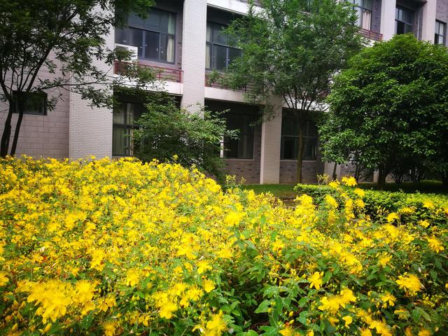 无锡城市职业技术学校,2022无锡城市职业技术学院在重庆录取分数线及招生计划(阴雨绵绵游无锡城市职业技术学院) 无锡城市职业技术学校,2022无锡城市职业技术学院在重庆录取分数线及招生计划(阴雨绵绵游无锡城市职业技术学院)