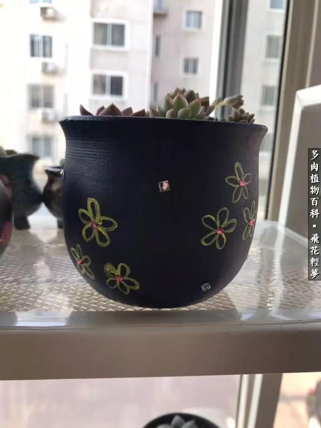 什么我的最爱作文400字，什么我的最爱作文400字四年级（在画盆的路上快乐前行）