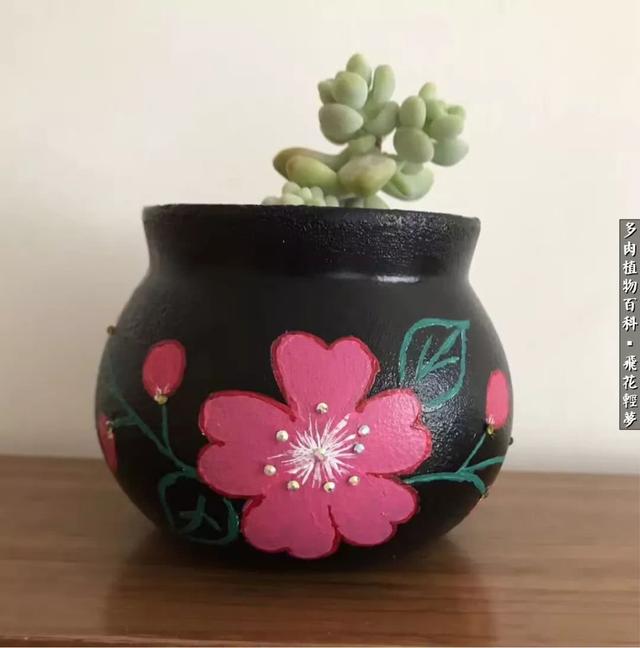 什么我的最爱作文400字，什么我的最爱作文400字四年级（在画盆的路上快乐前行）