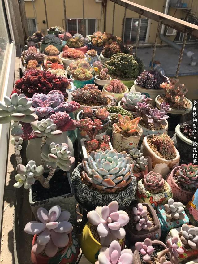 什么我的最爱作文400字，什么我的最爱作文400字四年级（在画盆的路上快乐前行）