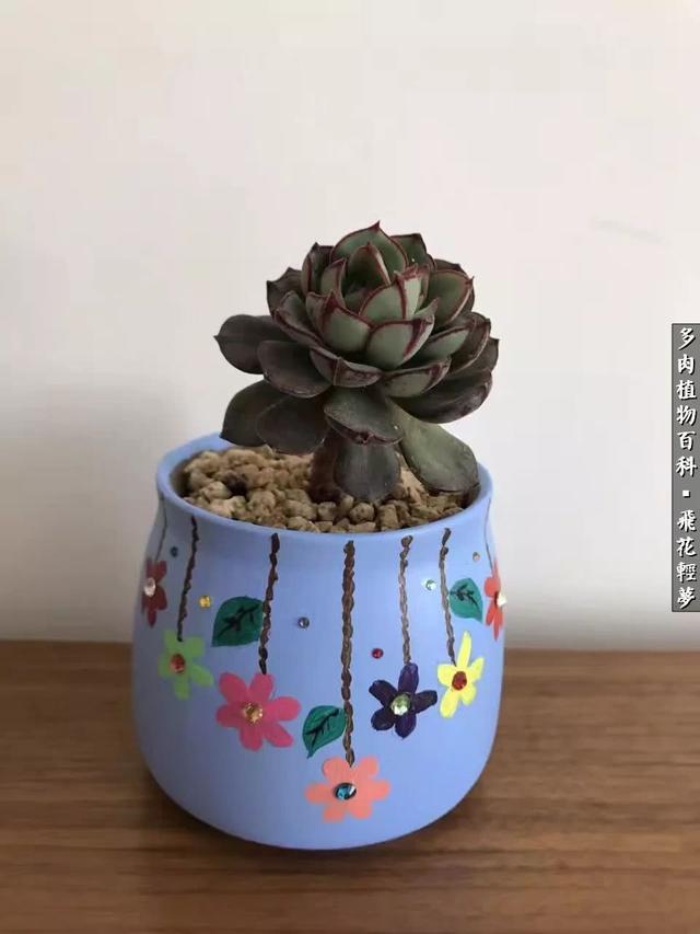 什么我的最爱作文400字，什么我的最爱作文400字四年级（在画盆的路上快乐前行）