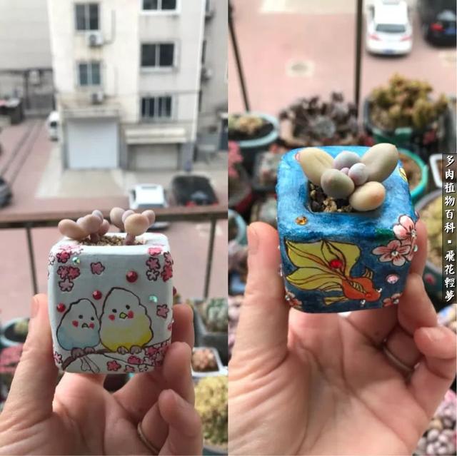 什么我的最爱作文400字，什么我的最爱作文400字四年级（在画盆的路上快乐前行）