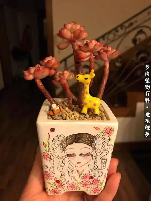 什么我的最爱作文400字，什么我的最爱作文400字四年级（在画盆的路上快乐前行）