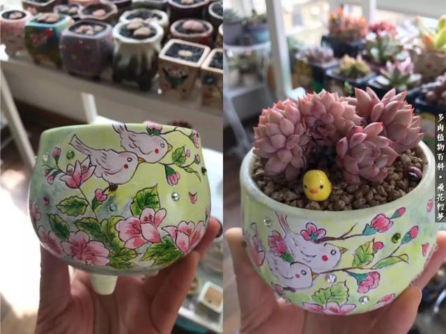 什么我的最爱作文400字，什么我的最爱作文400字四年级（在画盆的路上快乐前行）