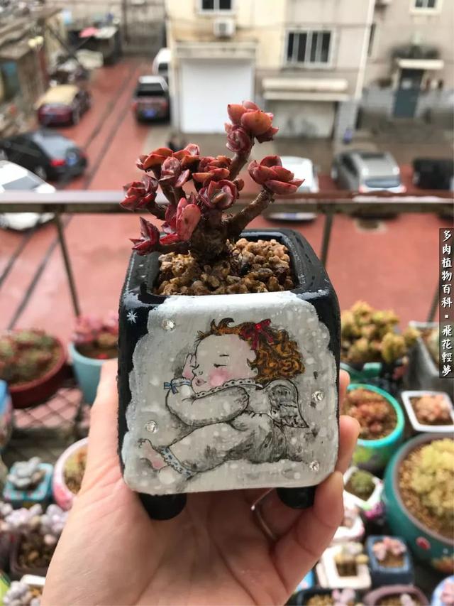 什么我的最爱作文400字，什么我的最爱作文400字四年级（在画盆的路上快乐前行）