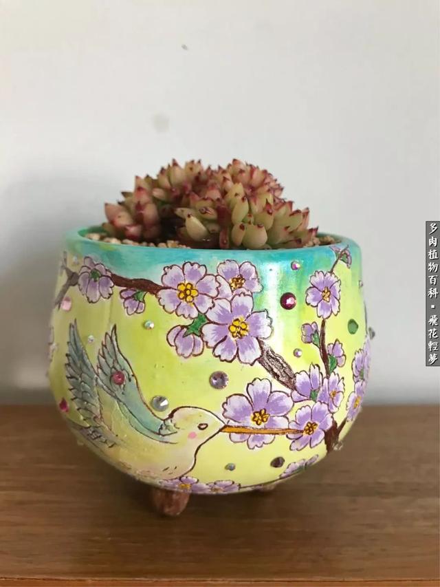 什么我的最爱作文400字，什么我的最爱作文400字四年级（在画盆的路上快乐前行）