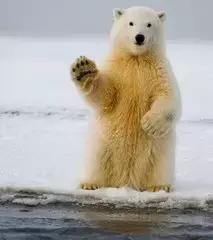 j开头的英文名，J开头的英文名（外国人都这么取英文名）