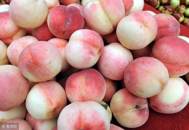 应季水果有哪些，三亚二月份应季水果有哪些（错过了要再等一年）