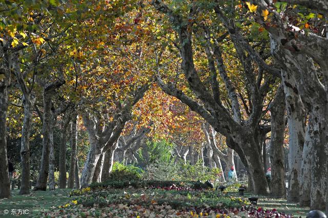 瞬息的拼音，瞬息万变的拼音（四年级语文下册生字拼音组词复习）